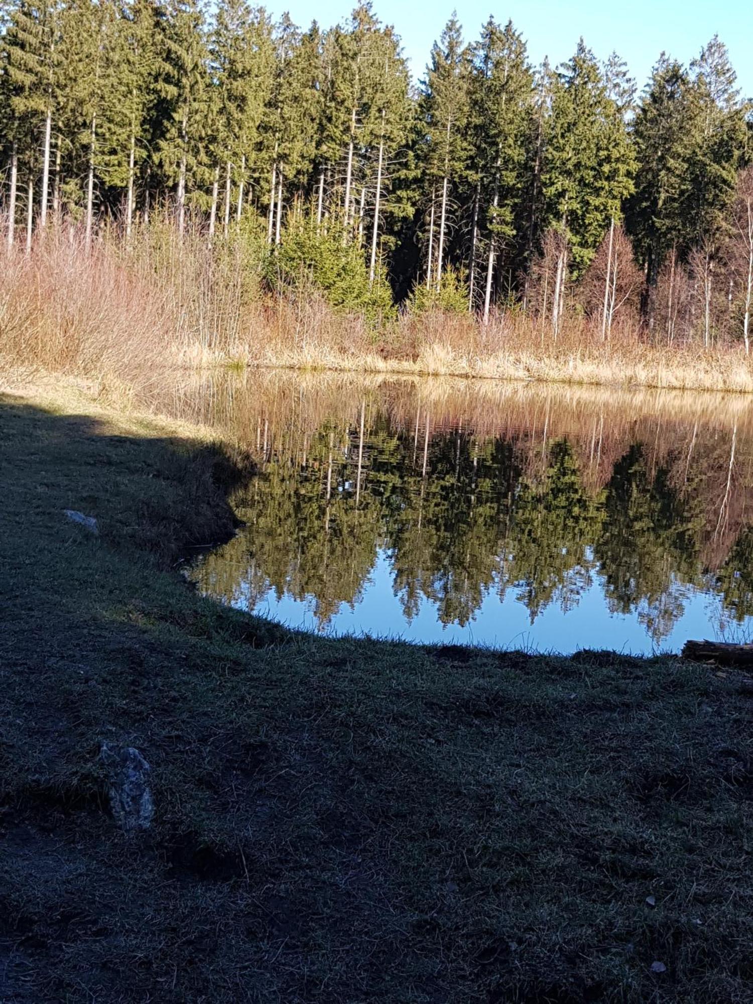 Ferienwohnung Monschauer Land Dış mekan fotoğraf